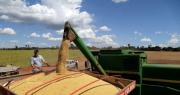 Tras polémica por conversión de tierras el Agro advierte: “Abrogación de ley 1720 traerá una caída en la producción”