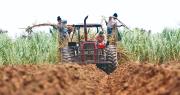 Tierra sin crédito: el límite que la Ley 1720 busca romper en el sector productivo