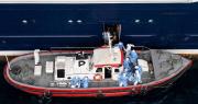 Hantavirus: los posibles casos suben a nueve, incluida una mujer que no viajó en el crucero