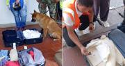 Cae en Viru Viru una pareja de mexicanos en poder de 40 kilos de droga