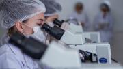 Alianzas académicas: el camino para una investigación con impacto local, regional y global