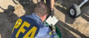 Aprehenden a dos bolivianos con carga de 400 kg de cocaína en Argentina