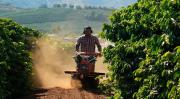 Sector exportador respalda al agro y advierte riesgos si se elimina la Ley de converisòn de tierras