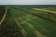 Ley 1720 abre debate en el sector agropecuario