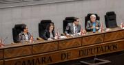 Diputados rechazan la dispensación de trámite para tratar el proyecto que busca abrogar la ley conversión de tierras