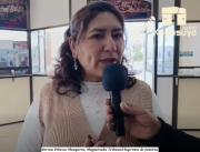 Consideran inviable el proyecto de Ley Brisa porque mucha gente iría presa injustificadamente