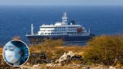 Esto no es otro Covid, asegura la OMS ante la llegada a Canarias del barco con brote de hantavirus