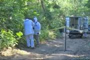 Hallan la cabeza de la mujer apuñalada y carbonizada en El Torno