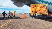 Gobierno activa puente aéreo y envía 10 toneladas de pollo a La Paz por bloqueos