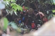 Encuentran la cabeza de Rosa Solá en La Angostura