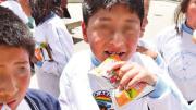 La Paz: Alcaldía suspende entrega del desayuno escolar este lunes por paro del magisterio urbano