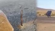 Policía busca identificar al hombre que perforó la carretera y colocó fierros afilados