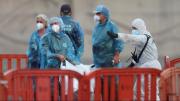 Confirman nuevos casos de hantavirus en una francesa y un estadounidense que viajaban en el crucero afectado y regresaron a sus países