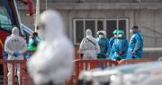 Conoce a los seis países con casos de hantavirus a raíz del brote en el crucero MV Hondius