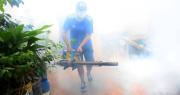Chikungunya: Santa Cruz registra 35 muertes y más de 11.000 contagios en lo que va del año