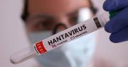 Sedes Tarija confirma cuatro casos de hantavirus en zonas fronterizas con Argentina