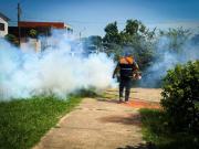 Chikunguña: reportan 35 muertes en Santa Cruz