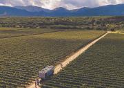 Tarija convierte su afamada ruta del vino en vitrina digital para atraer turistas
