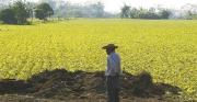 Productores respaldan la Ley 1720 y rechazan su abrogación