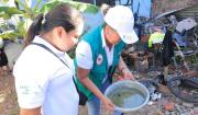 Casos de chikunguña se concentran en municipios metropolitanos de Santa Cruz