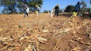 El Niño: Panamá declara alerta