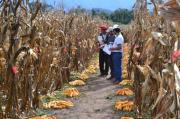 Héroes que alimentan… y malagradecidos que comen de sus manos