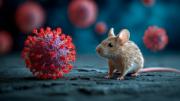 Hantavirus en Bolivia: síntomas, riesgos y señales de alerta de una enfermedad letal