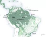 El saqueo de la Amazonía por la minería del oro y el narcotráfico