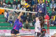 Voleibol: Liga Superior entra en pausa debido a bloqueos