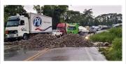 Reportan inicio de bloqueos en el trópico; Masifican bloqueos en regiones del eje; Evistas planean quedarse en La Paz; Cruceñidad aprobará medidas de defensa; Suspenden dos servicios esenciales