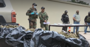 Santa Cruz: Felcn secuestra 104 kilos de marihuana escondidas en bolsas de yute
