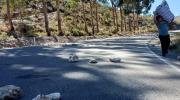 Pobladores de Cibingamayu bloquean ruta Potosí-Tarija