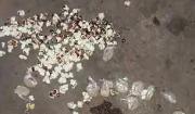 Tres mujeres fueron aprehendidas en Santa Cruz con droga camuflada entre envases de pipoca