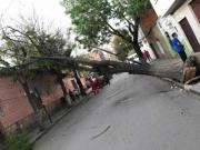 Sedes activa alerta preventiva por fuertes vientos de hasta 60 km/h en Tarija