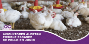Avicultores alertan posible escasez de pollo en junio