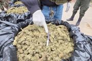 FELCN-Santa Cruz afecta al narcotráfico con casi medio millón de dólares