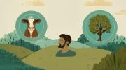 Salud humana, animal y ambiental: el enfoque One Health toma fuerza en el Congreso de Salud Unifranz