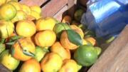 Comerciantes de frutas en La Paz gravemente afectadas por los bloqueos
