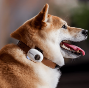 China crea traductor para perros y gatos con 95% de efectividad