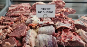 ¿La carne de burro es apta para el consumo humano?, esto responde un especialista