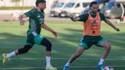 Bolivia confirma amistosos con las mundialistas Escocia y Argelia