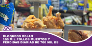 Bloqueos dejan 100 mil pollos muertos y pérdidas diarias de 700 mil Bs