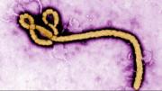 Brasil descarta un caso sospechoso de ébola y continúa otro en investigación