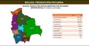 Santa Cruz concentró el 48,7% de la producción pecuaria nacional en la gestión 2025