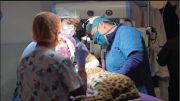 Médicos emiten diagnóstico favorable para Shiva, la cachorra de jaguar rescatada en Santa Cruz