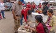 Intensifican controles a la venta de pescado para garantizar la seguridad alimentaria