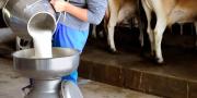 Más de 900.000 litros de leche se pierden por los bloqueos