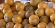 Mercados vacíos en Cochabamba: El precio de las frutas se dispara por las nubes en la víspera de Corpus Christi