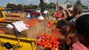 Kilo de queso a Bs 33 y corte solidario de carne de res en Bs 37; en Santa Cruz se acumula la producción
