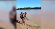 Pesca sorprende en Puerto Paila: Pescadores llenan sus redes en 30 segundos